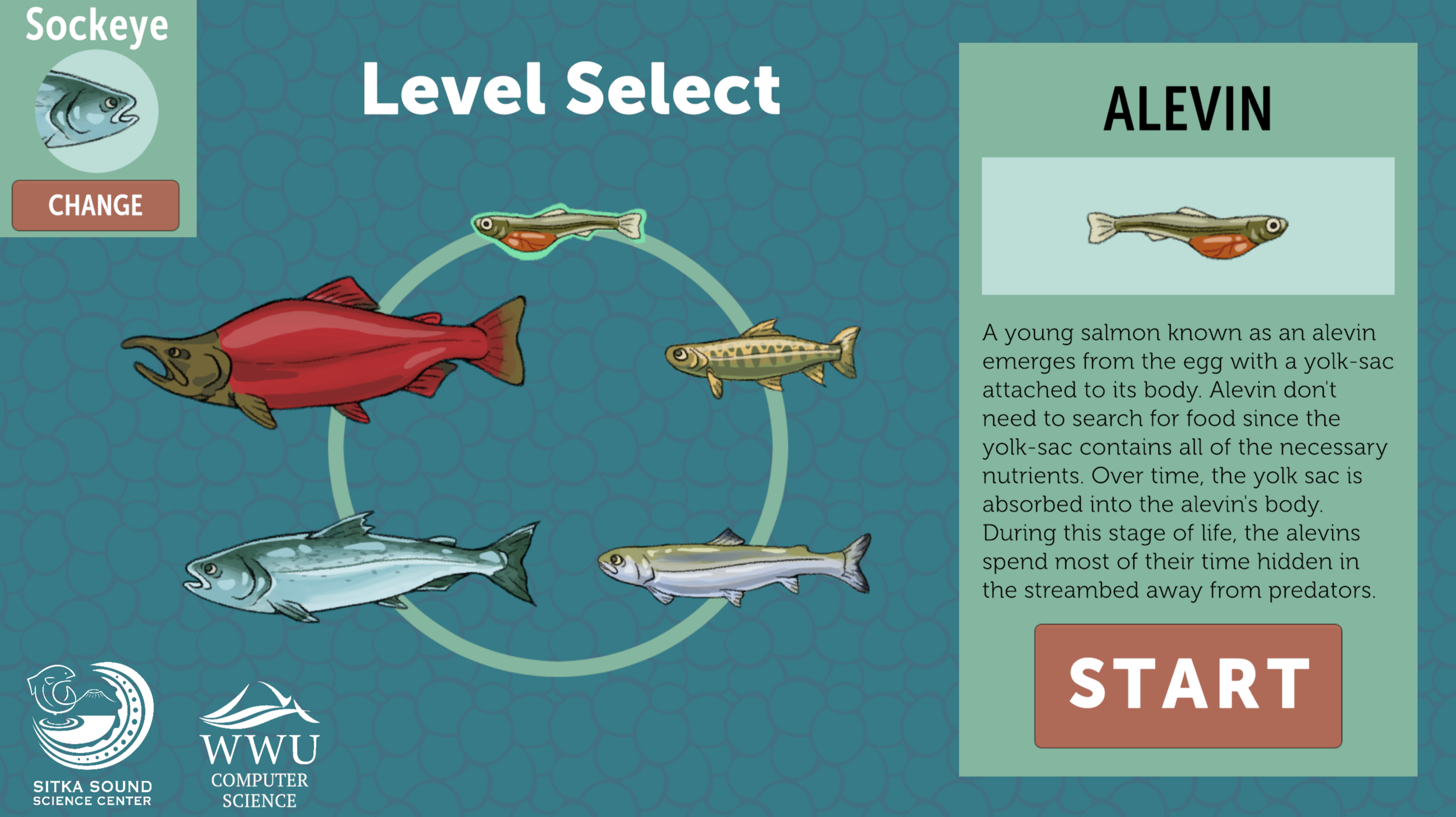 fish.png